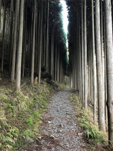 f:id:ujii:20190530234154j:image f:id:ujii:20190530234154j:image