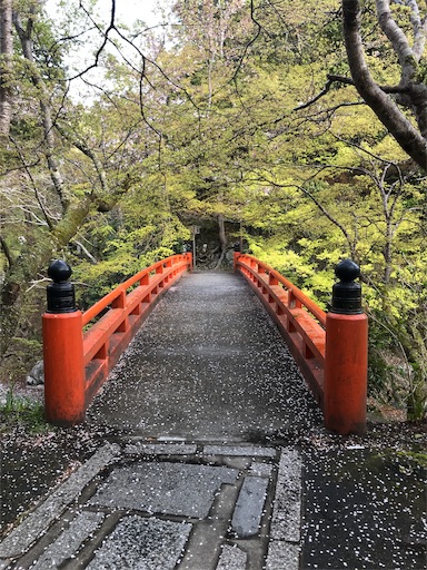 f:id:ujii:20190530234157j:image f:id:ujii:20190530234157j:image