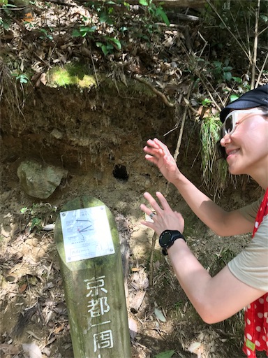f:id:ujii:20190530234205j:image f:id:ujii:20190530234205j:image