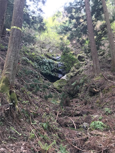 f:id:ujii:20190530235403j:image f:id:ujii:20190530235403j:image