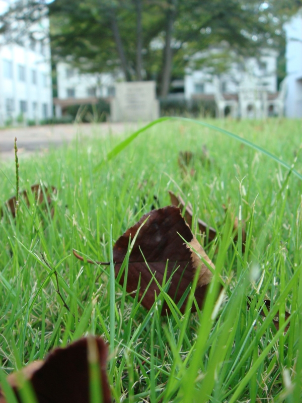 f:id:ujikenorio:20110919145402j:image f:id:ujikenorio:20110919145402j:image