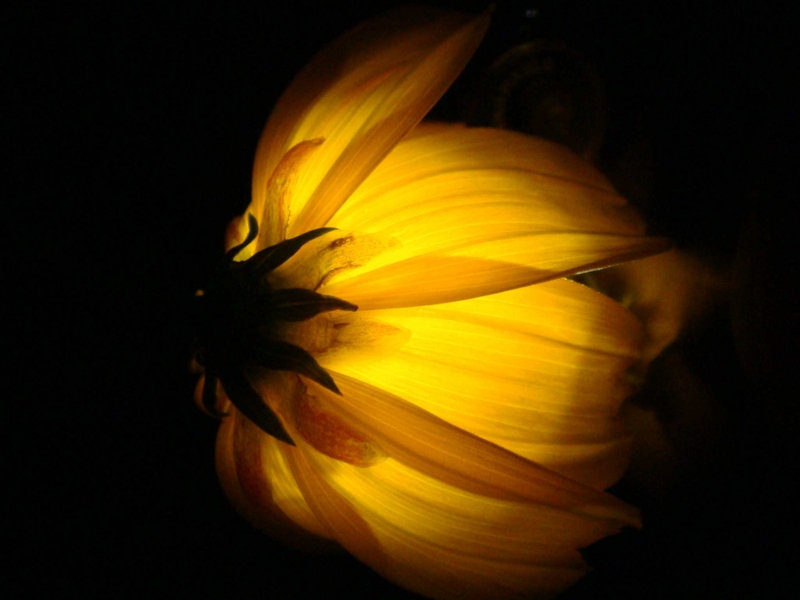f:id:ujikenorio:20111016000521j:image f:id:ujikenorio:20111016000521j:image