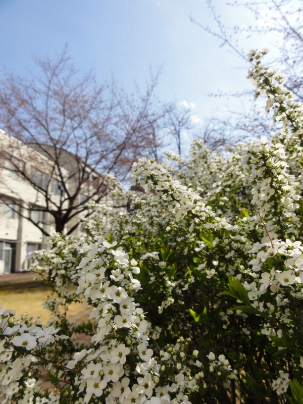 f:id:ujikenorio:20120406144715j:image f:id:ujikenorio:20120406144715j:image