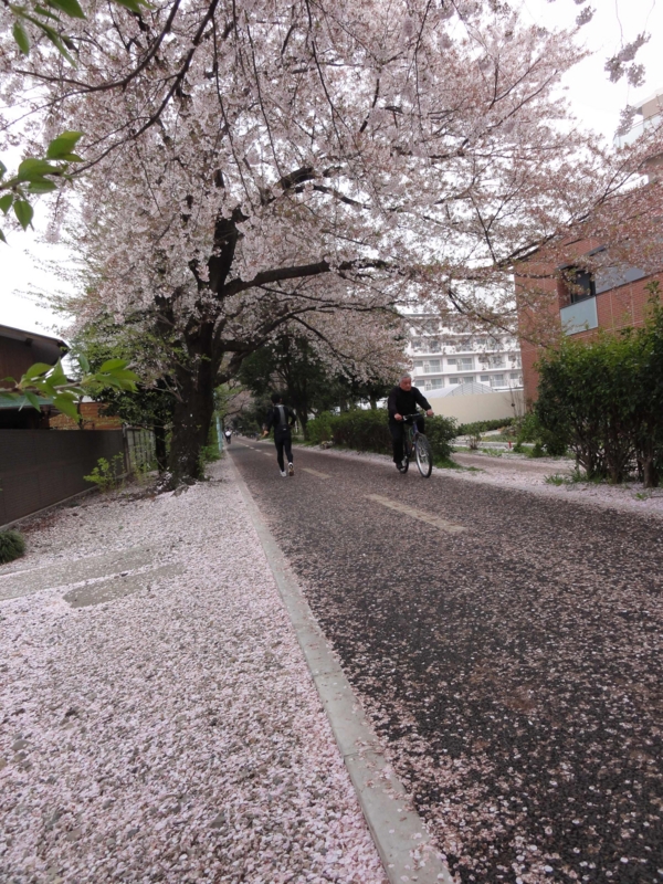 f:id:ujikenorio:20120415154927j:image f:id:ujikenorio:20120415154927j:image