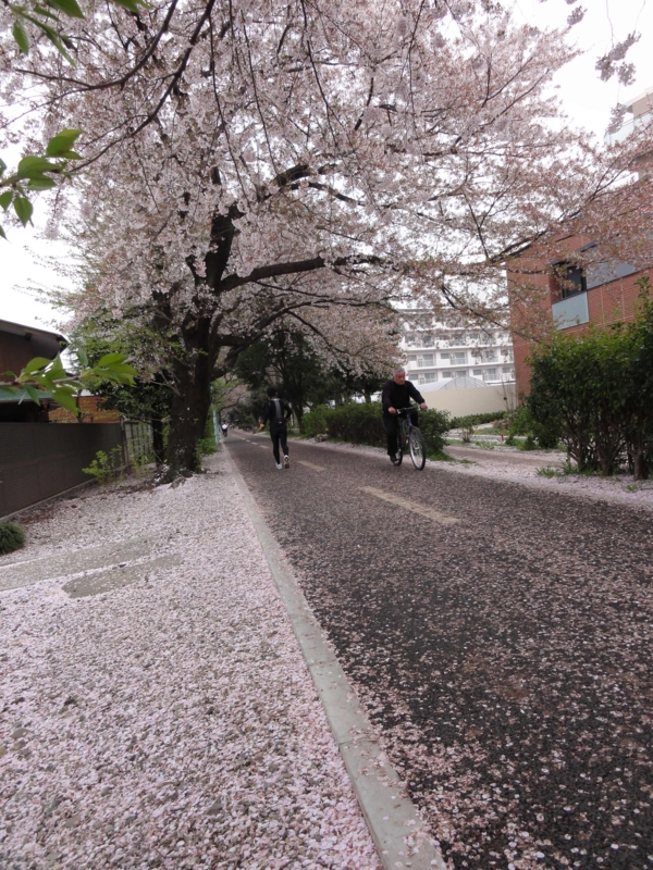 f:id:ujikenorio:20120415154927j:image