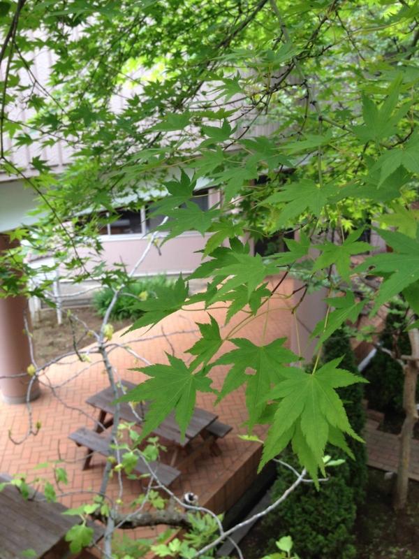 f:id:ujikenorio:20120613131027j:image