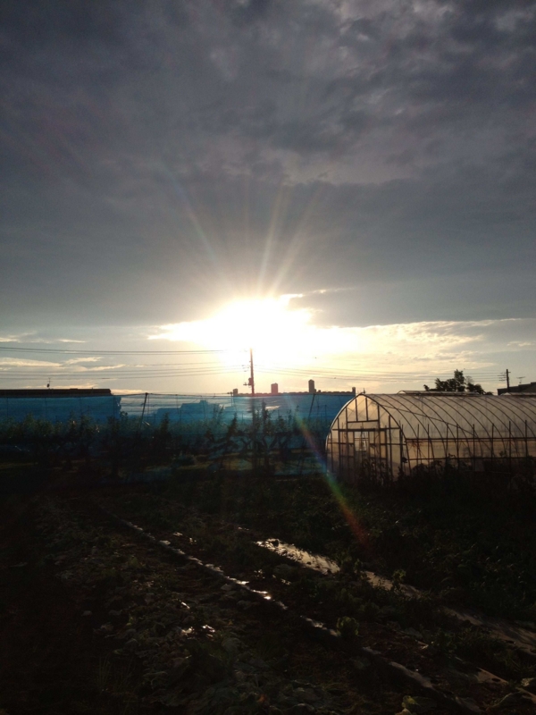 f:id:ujikenorio:20120620180714j:image