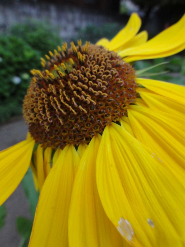 f:id:ujikenorio:20120709174953j:image