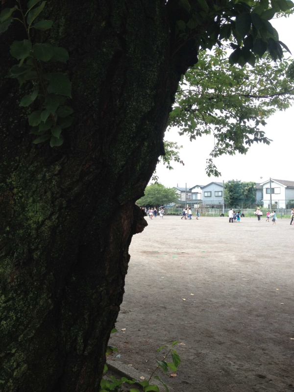f:id:ujikenorio:20120903120218j:image f:id:ujikenorio:20120903120218j:image