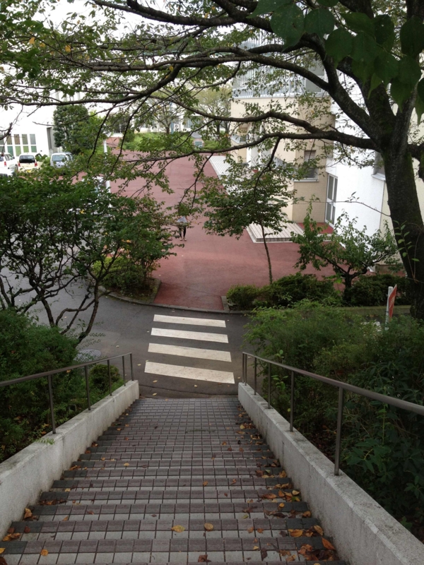 社会が先か 個人が先か という問題は 鶏と卵の問題と同じ Ujikenorio S Blog