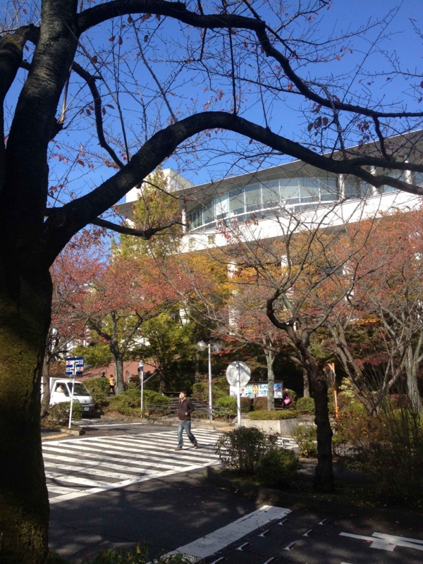 f:id:ujikenorio:20121108123938j:image f:id:ujikenorio:20121108123938j:image