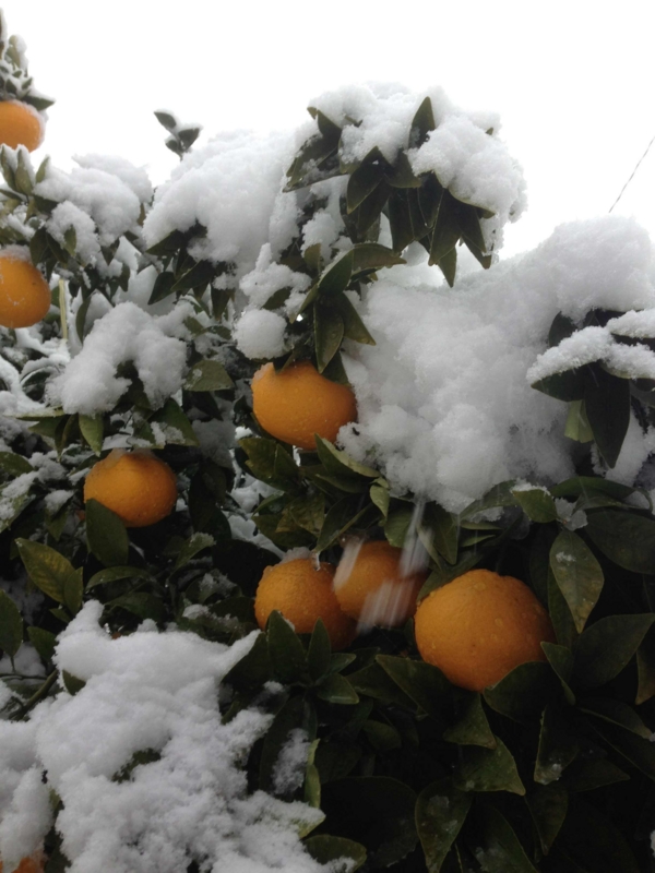 f:id:ujikenorio:20130114134721j:image f:id:ujikenorio:20130114134721j:image