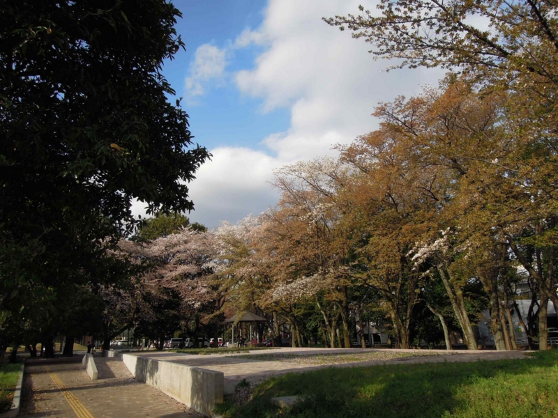 f:id:ujikenorio:20130404162308j:image