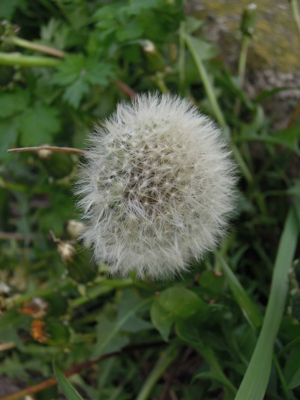 f:id:ujikenorio:20130410162809j:image