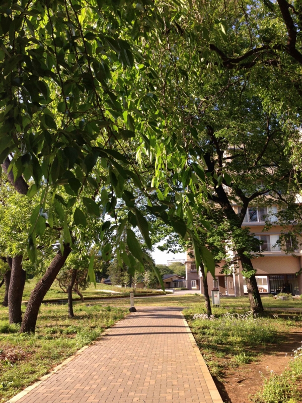 f:id:ujikenorio:20130428161149j:image