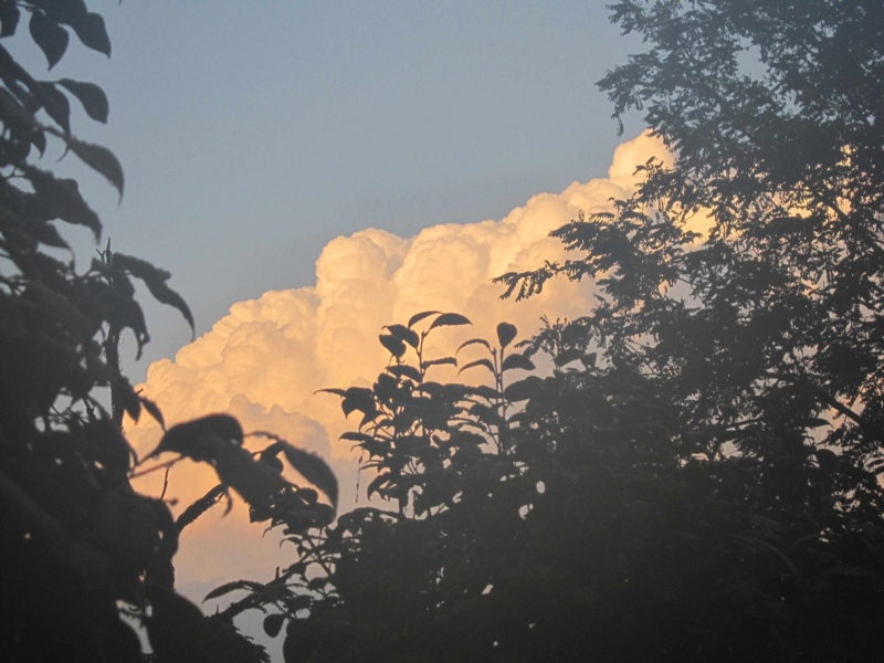 f:id:ujikenorio:20130718183509j:image f:id:ujikenorio:20130718183509j:image