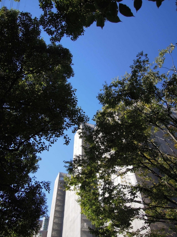 f:id:ujikenorio:20130927143447j:image f:id:ujikenorio:20130927143447j:image