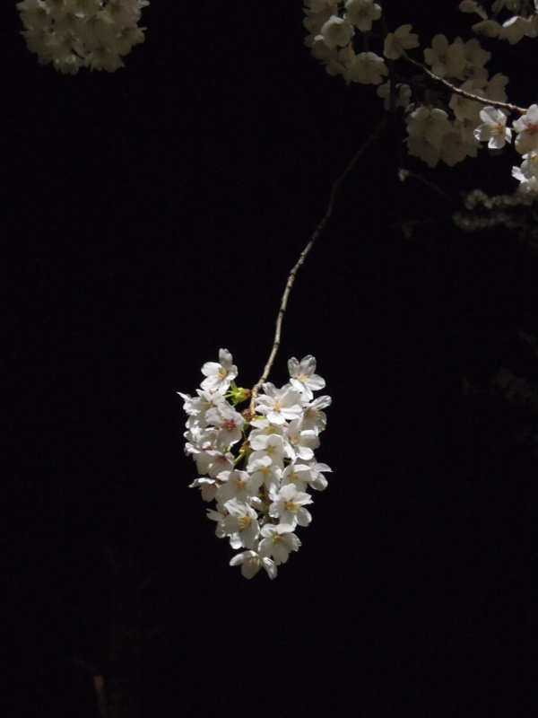 f:id:ujikenorio:20140402002233j:image f:id:ujikenorio:20140402002233j:image