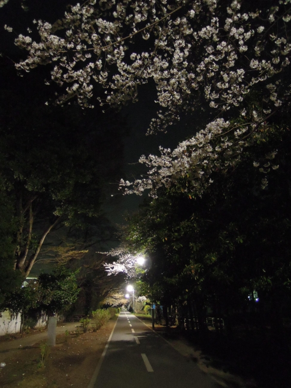 f:id:ujikenorio:20140402002806j:image f:id:ujikenorio:20140402002806j:image