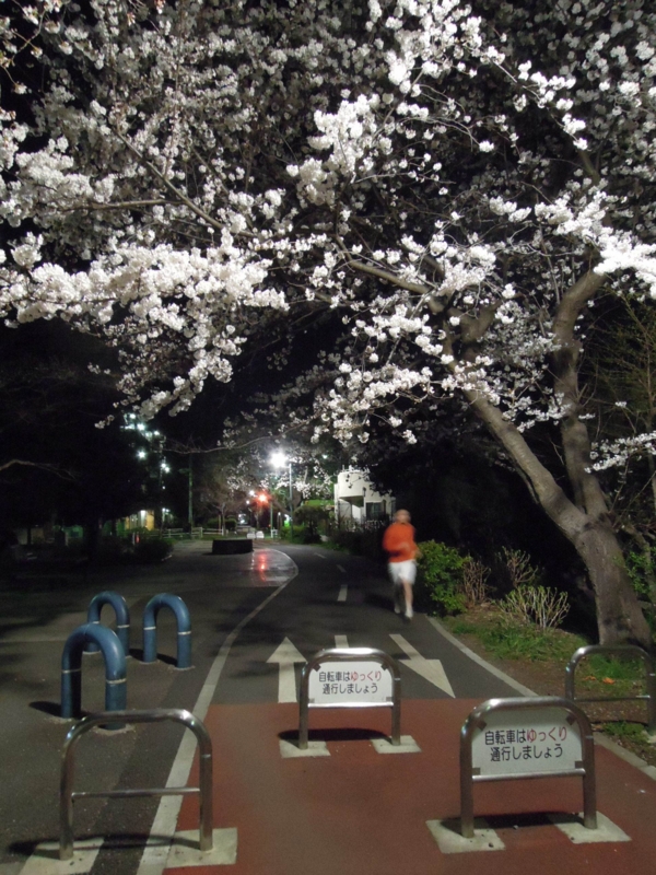 f:id:ujikenorio:20140402003628j:image f:id:ujikenorio:20140402003628j:image