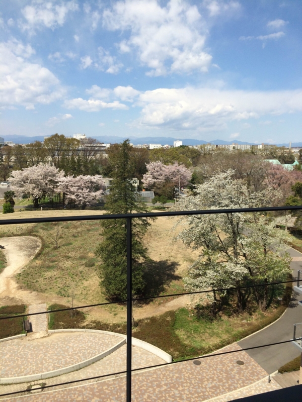 f:id:ujikenorio:20140405103445j:image f:id:ujikenorio:20140405103445j:image