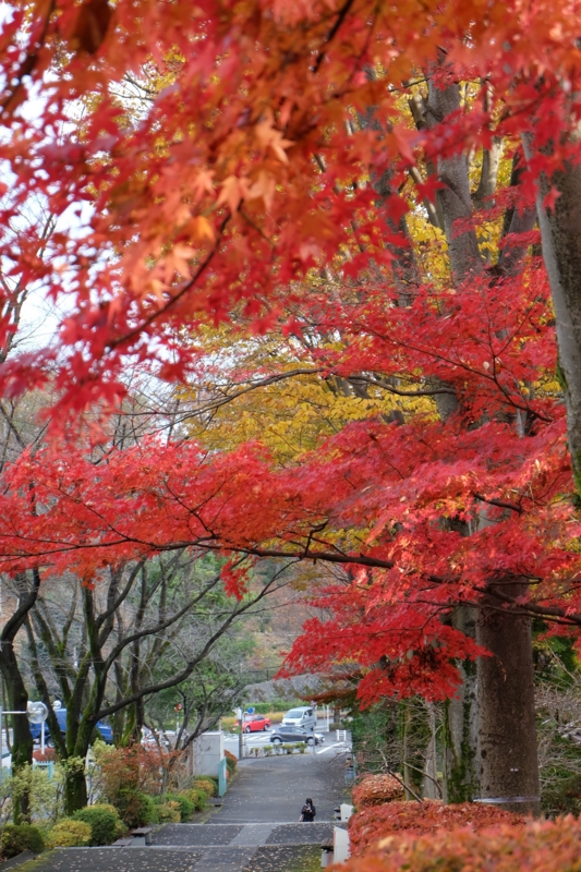 f:id:ujikenorio:20141128141626j:image f:id:ujikenorio:20141128141626j:image