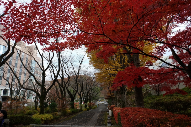 f:id:ujikenorio:20141128141847j:image f:id:ujikenorio:20141128141847j:image