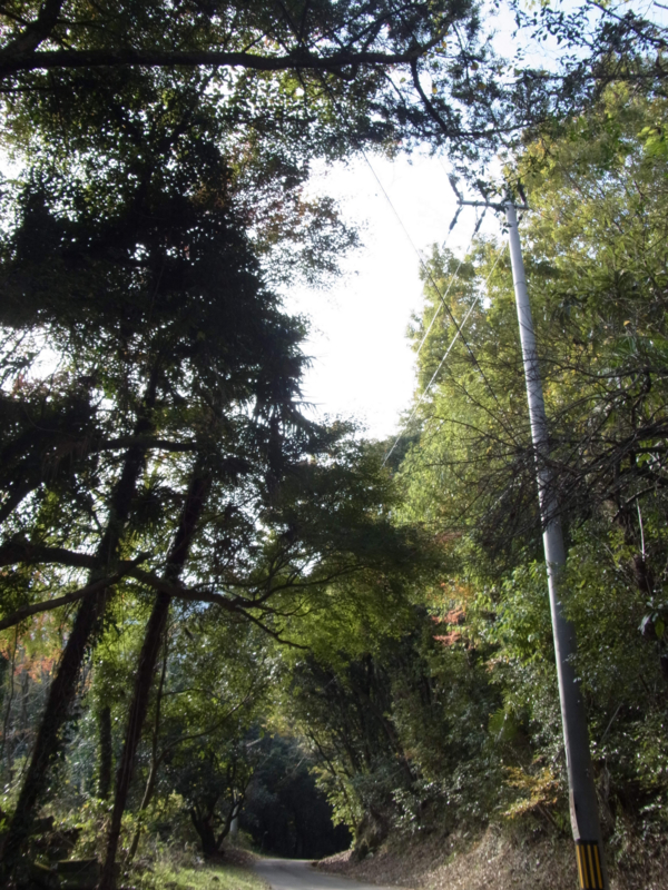 f:id:ujikenorio:20161126181927j:image