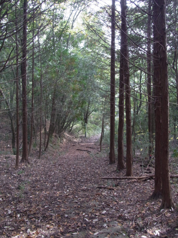 f:id:ujikenorio:20161126182313j:image