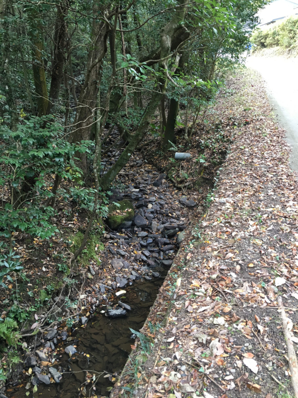 f:id:ujikenorio:20161126182536j:image