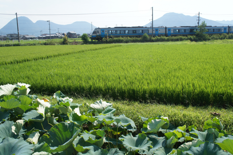 f:id:ujikenorio:20170830130536j:image