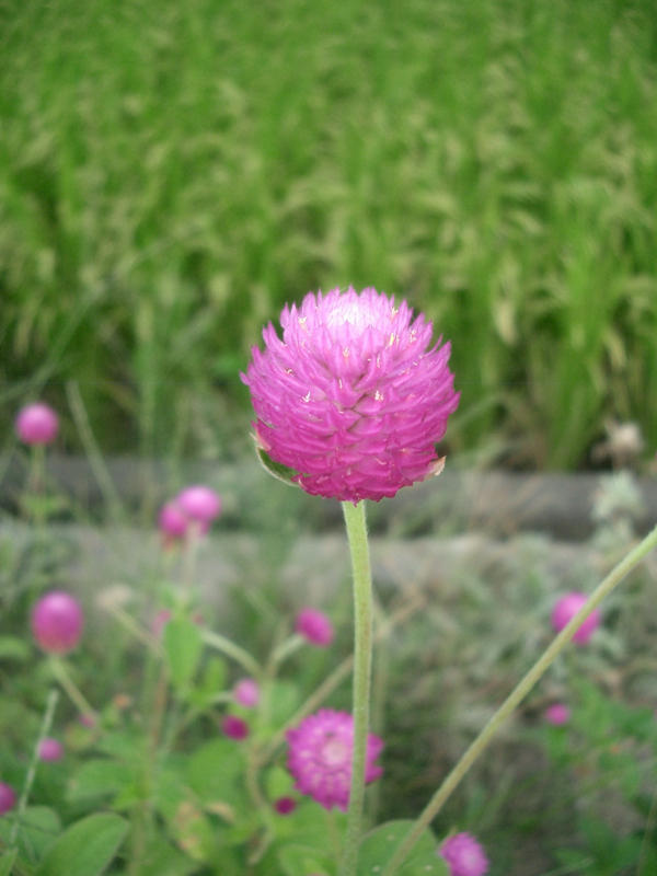 f:id:ujikenorio:20170906151708j:image f:id:ujikenorio:20170906151708j:image