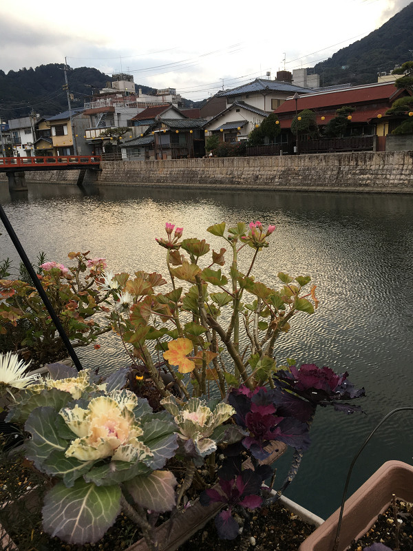 f:id:ujikenorio:20180219194106j:image