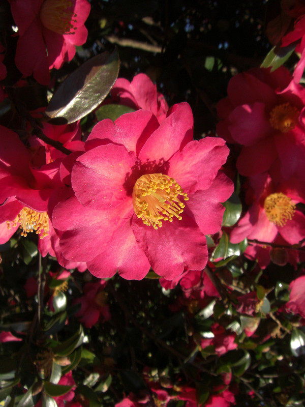 f:id:ujikenorio:20180219194817j:image