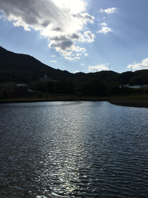 f:id:ujikenorio:20180219195832j:image f:id:ujikenorio:20180219195832j:image