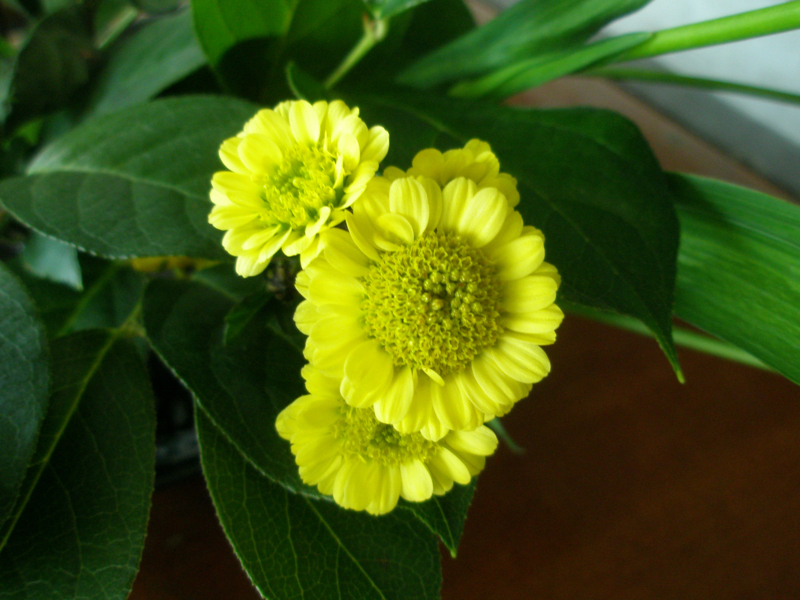 f:id:ujikenorio:20180225220855j:image