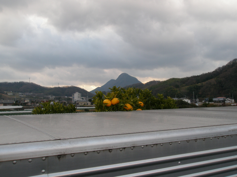 f:id:ujikenorio:20180225223558j:image