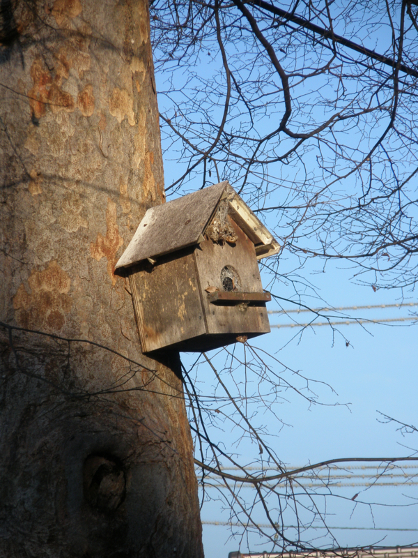 f:id:ujikenorio:20180225224711j:image