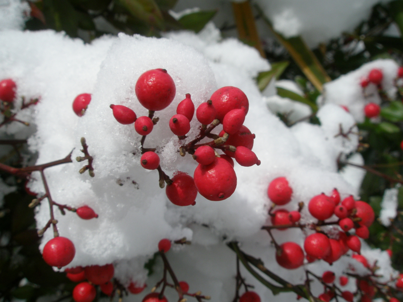 f:id:ujikenorio:20180225225708j:image