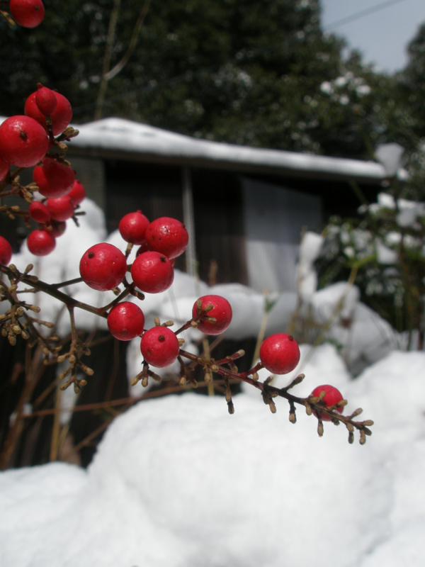 f:id:ujikenorio:20180225225717j:image