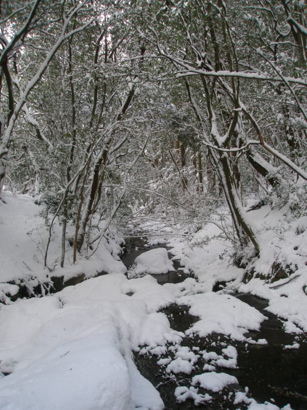 f:id:ujikenorio:20180225225851j:image