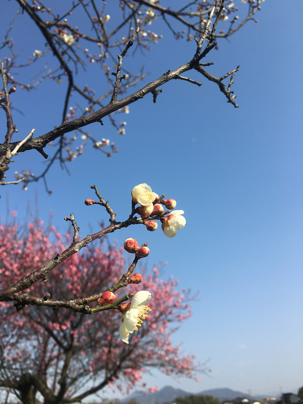 覚え書 化学者たちの京都学派 喜多源逸と日本の化学 著 古川安 評者 諸富徹 京都大学教授 経済学 朝日新聞 18年01月21日 日 付 Ujikenorio S Blog 覚え書 化学者たちの京都学派 喜多源逸と日本の化学 著 古川安 評者 諸富徹 京都大学教授 経済学 朝日新聞 18年01月21日 日 付 Ujikenorio S Blog