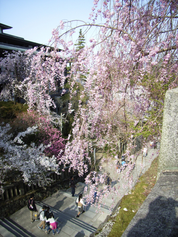 f:id:ujikenorio:20180331202116j:image f:id:ujikenorio:20180331202116j:image