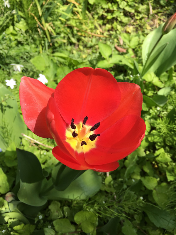 f:id:ujikenorio:20180404230913j:image f:id:ujikenorio:20180404230913j:image