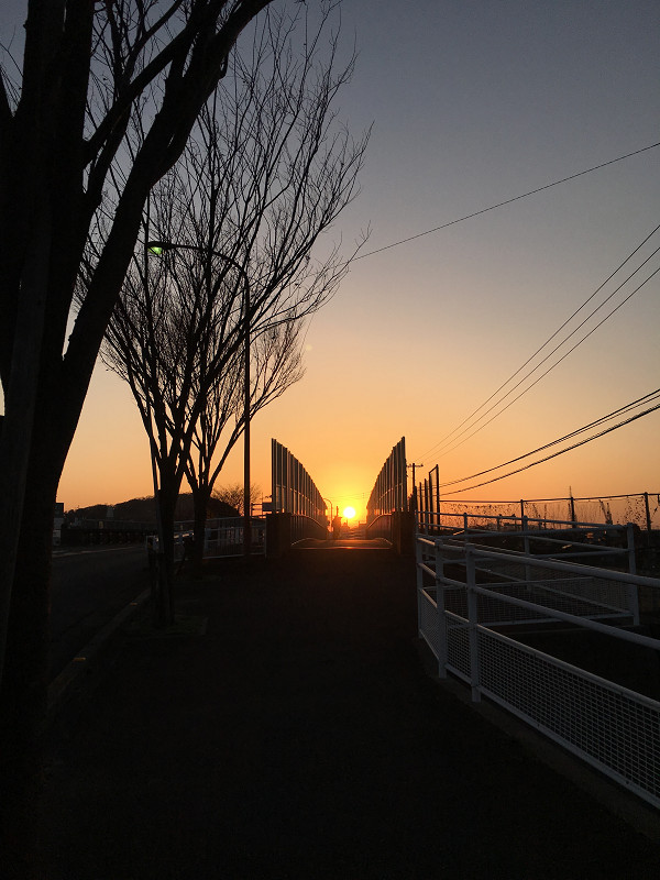 f:id:ujikenorio:20180405220239j:image f:id:ujikenorio:20180405220239j:image