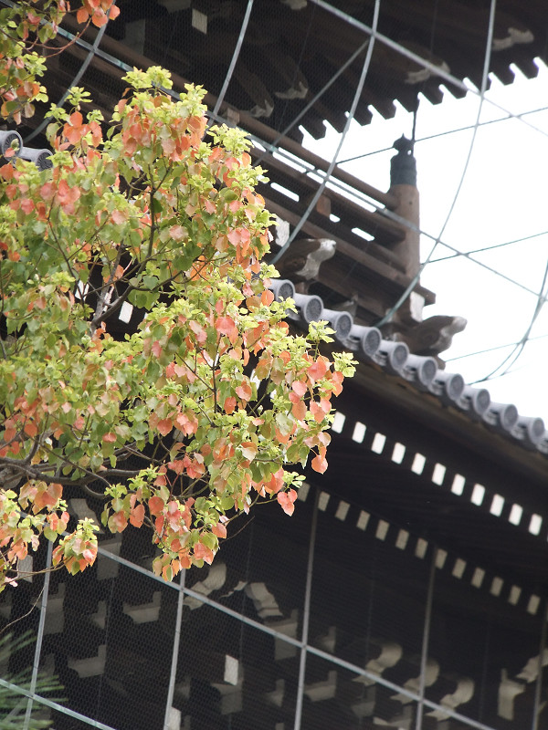 f:id:ujikenorio:20180422152254j:image f:id:ujikenorio:20180422152254j:image