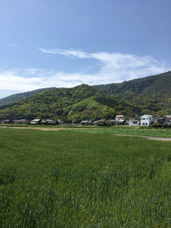 f:id:ujikenorio:20180422153427j:image f:id:ujikenorio:20180422153427j:image