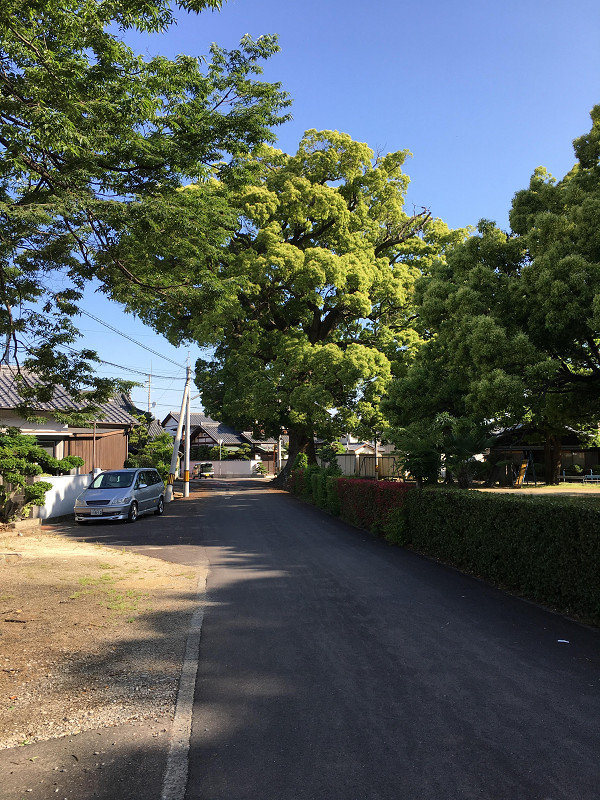 f:id:ujikenorio:20180513152746j:image f:id:ujikenorio:20180513152746j:image