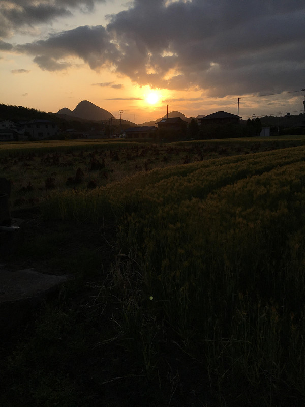 f:id:ujikenorio:20180513152750j:image f:id:ujikenorio:20180513152750j:image
