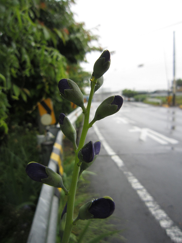 f:id:ujikenorio:20180516200010j:image f:id:ujikenorio:20180516200010j:image